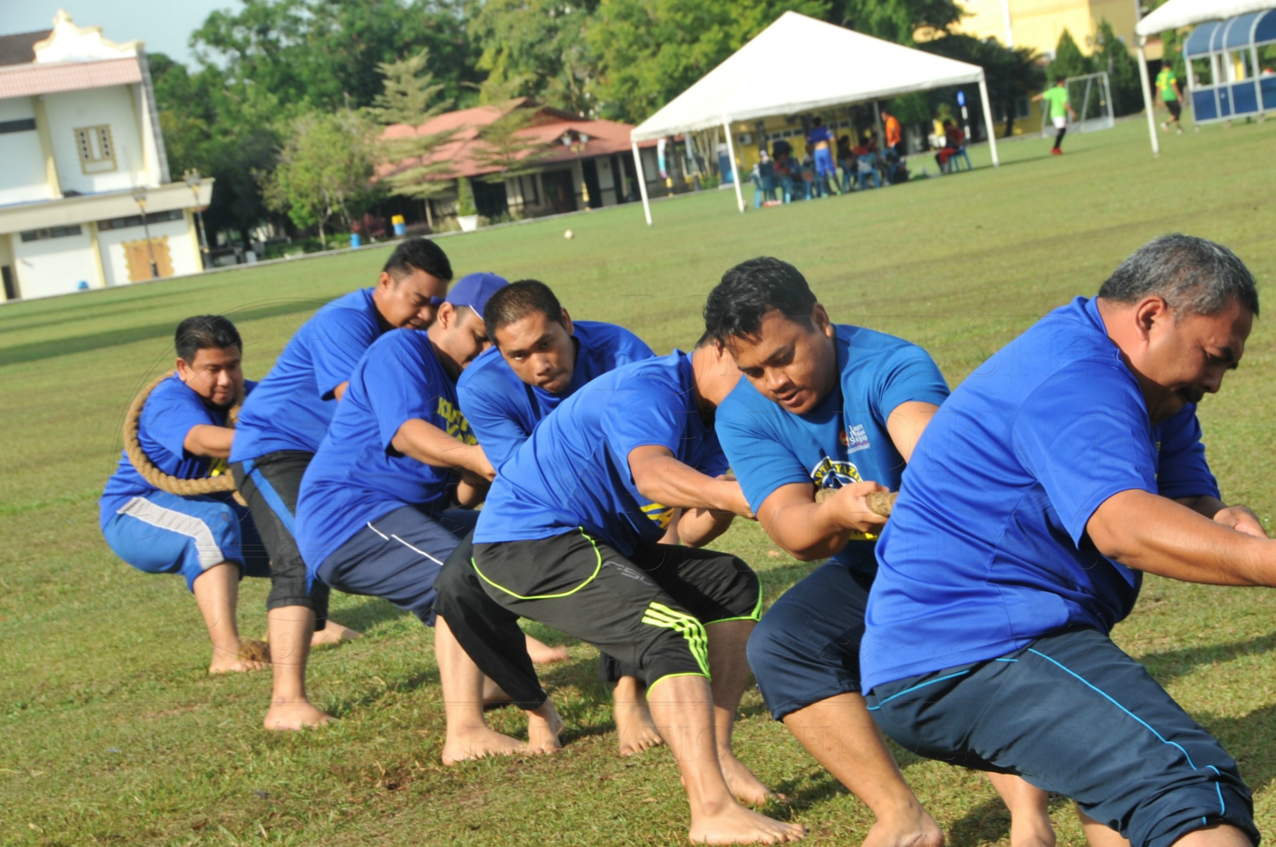 PRO 15 53 KIESTA HAS 5470